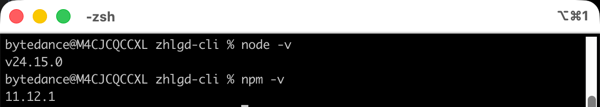本地 Node 环境检查结果