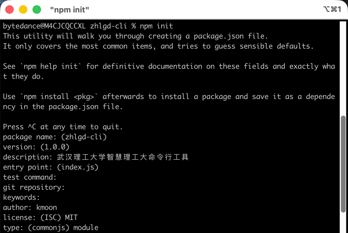 使用 npm init 初始化项目
